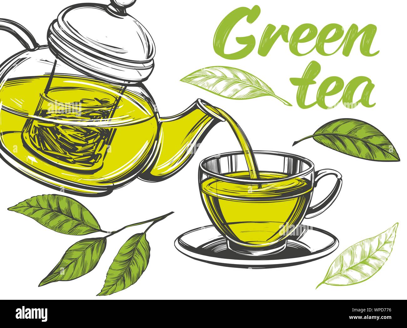Grüner Tee, Tasse Kaffee und Teekanne auf weißem Hintergrund Hand ...