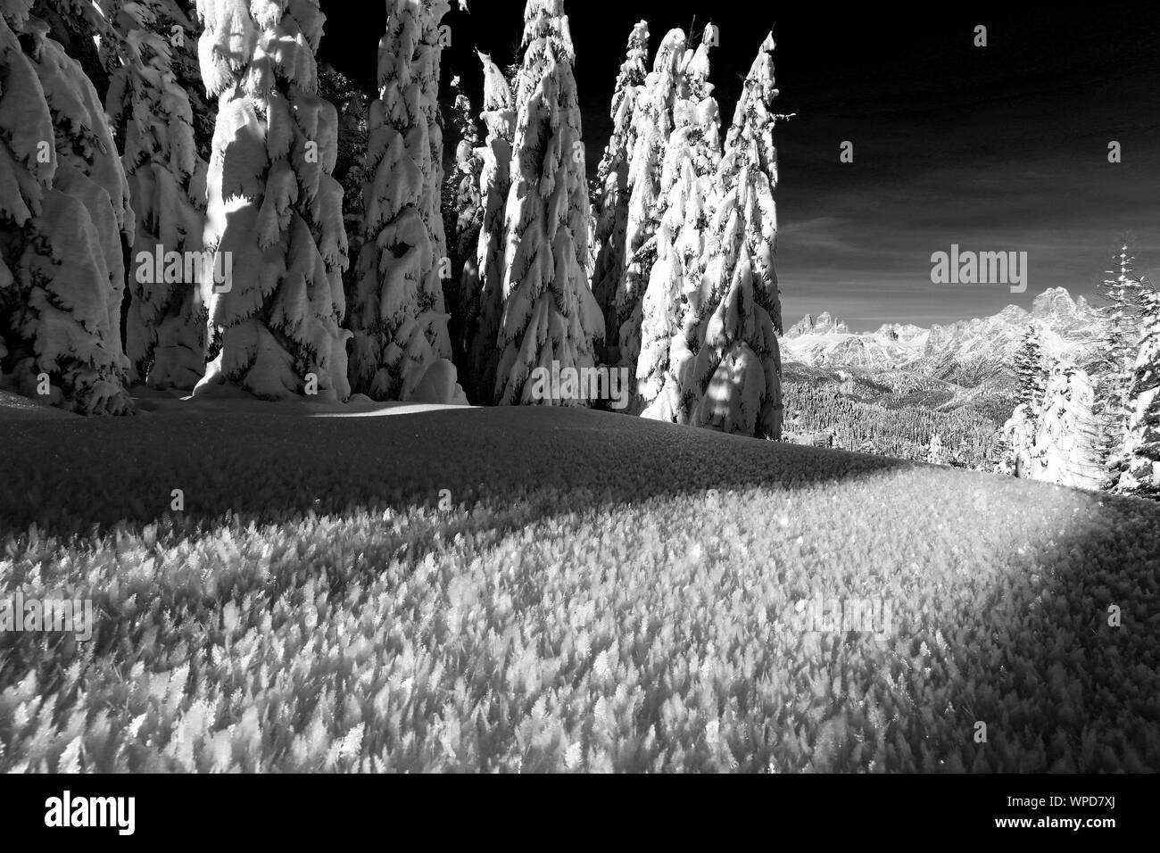 Winter in den Cadore Dolomiten. Schneekristalle. Pian dei Buoi Plateau. Die Dolomiten. Schwarz weiße Berglandschaft. Venetien, Italienische Alpen. Europa. Stockfoto