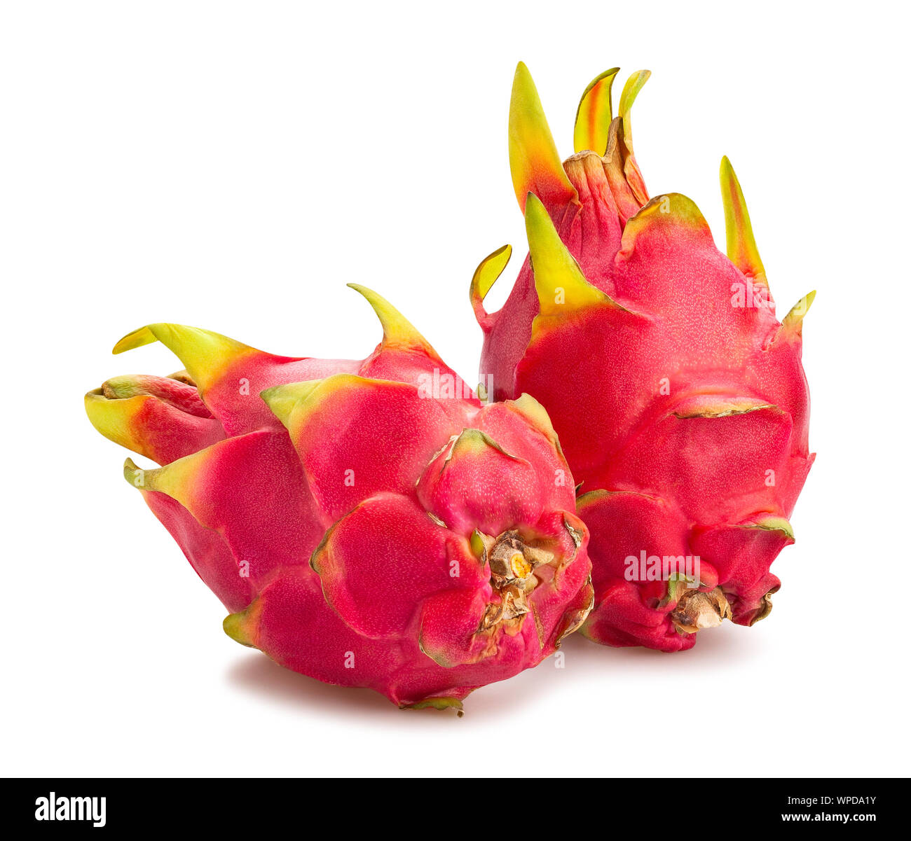 Rote pitahaya Drachenfrucht Pfad isoliert auf weißem Stockfoto