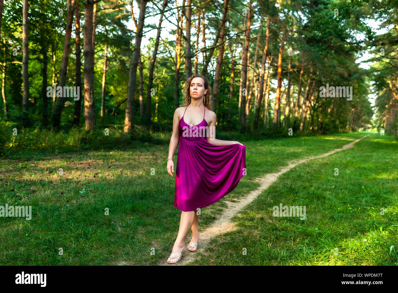 Schöne lockige Haare junge Frau trägt elegante lila Kleid, stehend auf einem Pfad in der Mitte des Waldes mit Sonnenstrahlen bei Sonnenuntergang Stockfoto
