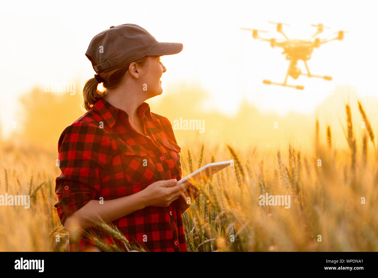 Frau Bauer steuert Drohne mit einer Tablette. Smart Landwirtschaft und Landwirtschaft Stockfoto