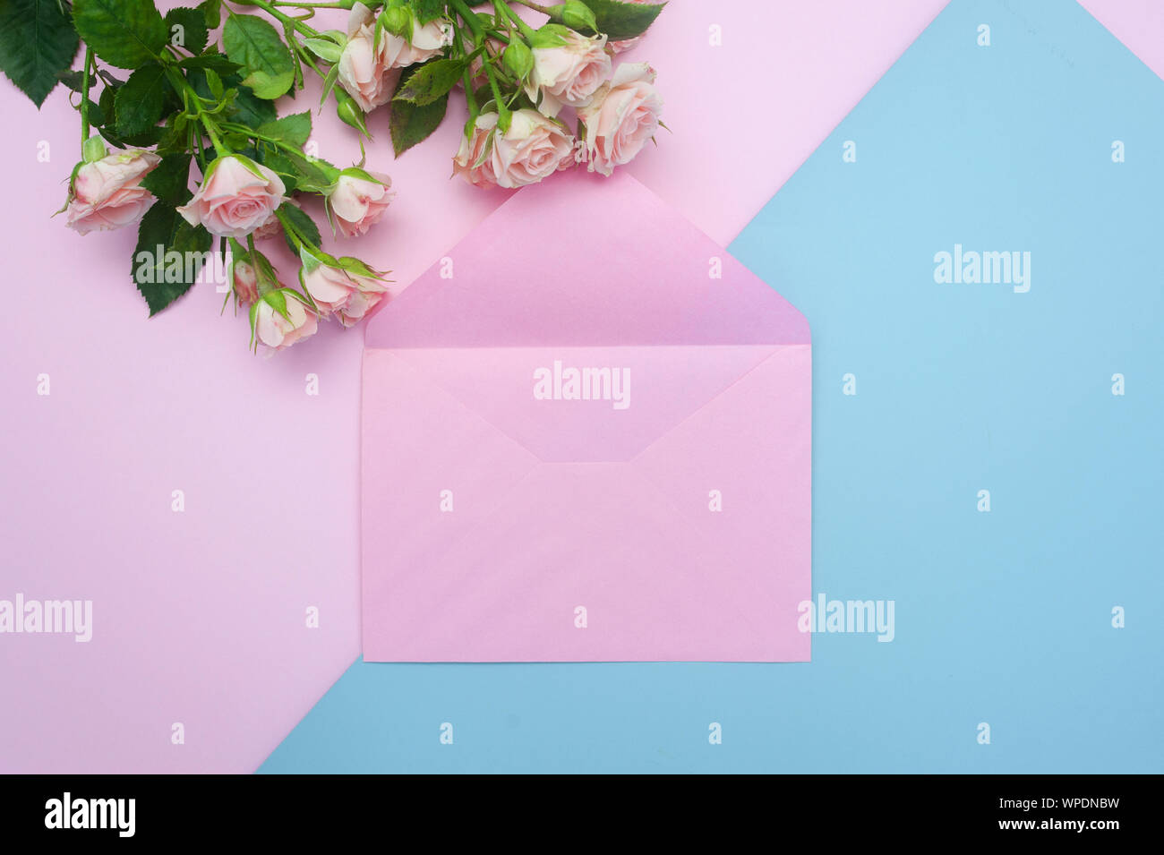 Mockup leer rosa Umschlag und Knospen der Rosen, festlichen Hintergrund Kopie Raum Stockfoto