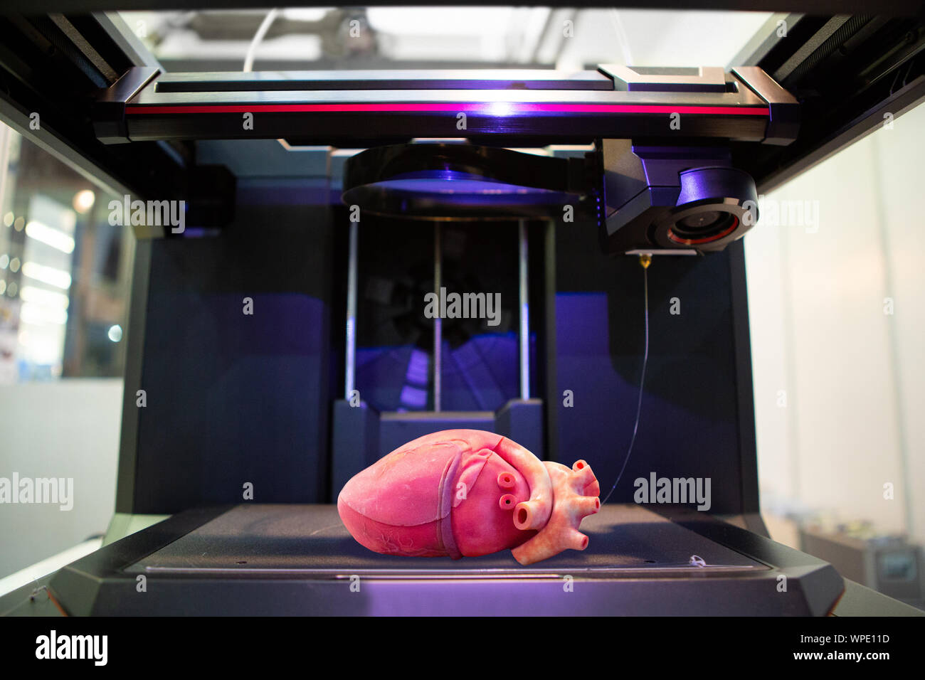 3D-Drucker, der mit einem menschlichen Herzen gedruckt Stockfoto