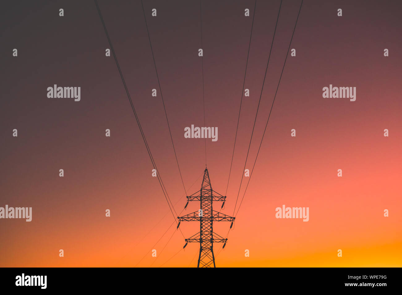 Elektrische Stromleitungen in der Abendsonne. Elektrische Energieübertragung Pole in lebendigen Hintergrund, Konzept von Strom Stockfoto
