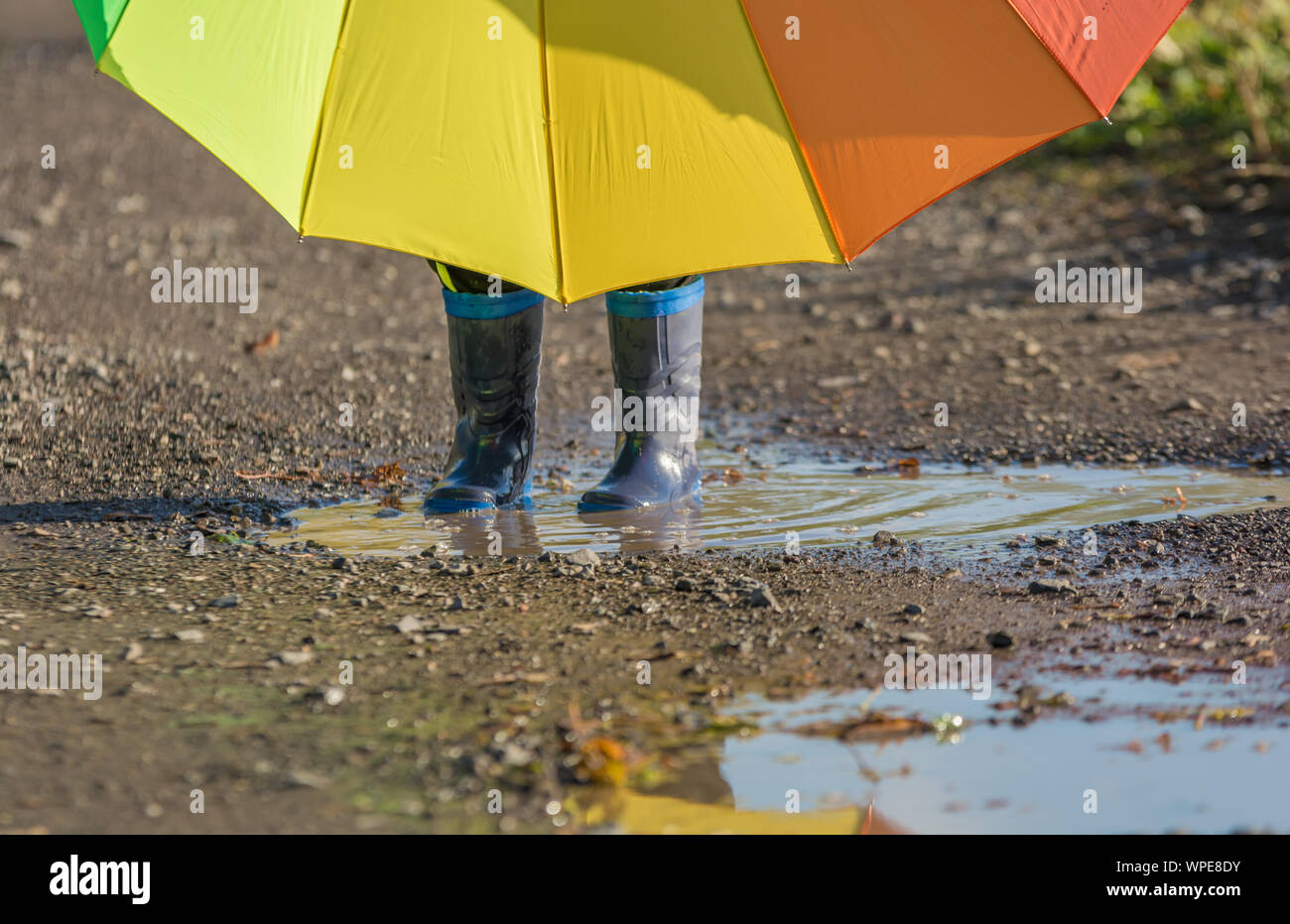 Kleines Kind steht mit Gummistiefeln in eine Pfütze mit einem großen Regenschirm Stockfoto