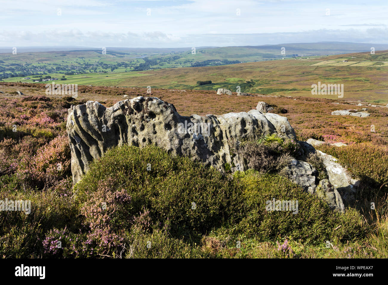 Mühlstein Grit Felsen erodiert vom Wetter und von Heidekraut und Heidelbeeren, Teesdale, North Pennines, County Durham, UK Umgeben Stockfoto