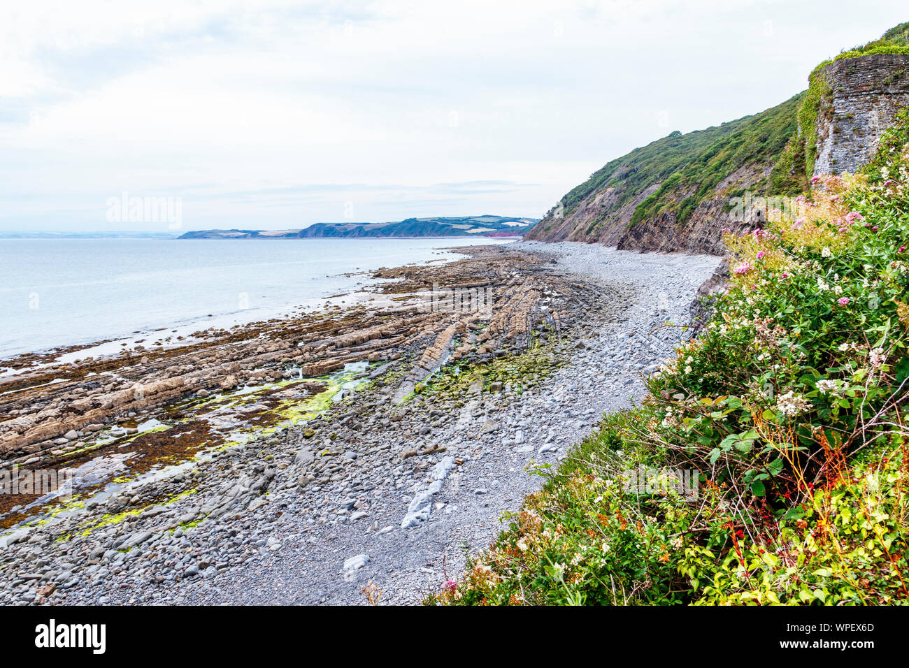 Die felsigen Strand in den Mühlen der Buck in Bideford Bay, North Devon, Großbritannien, nach Osten Stockfoto