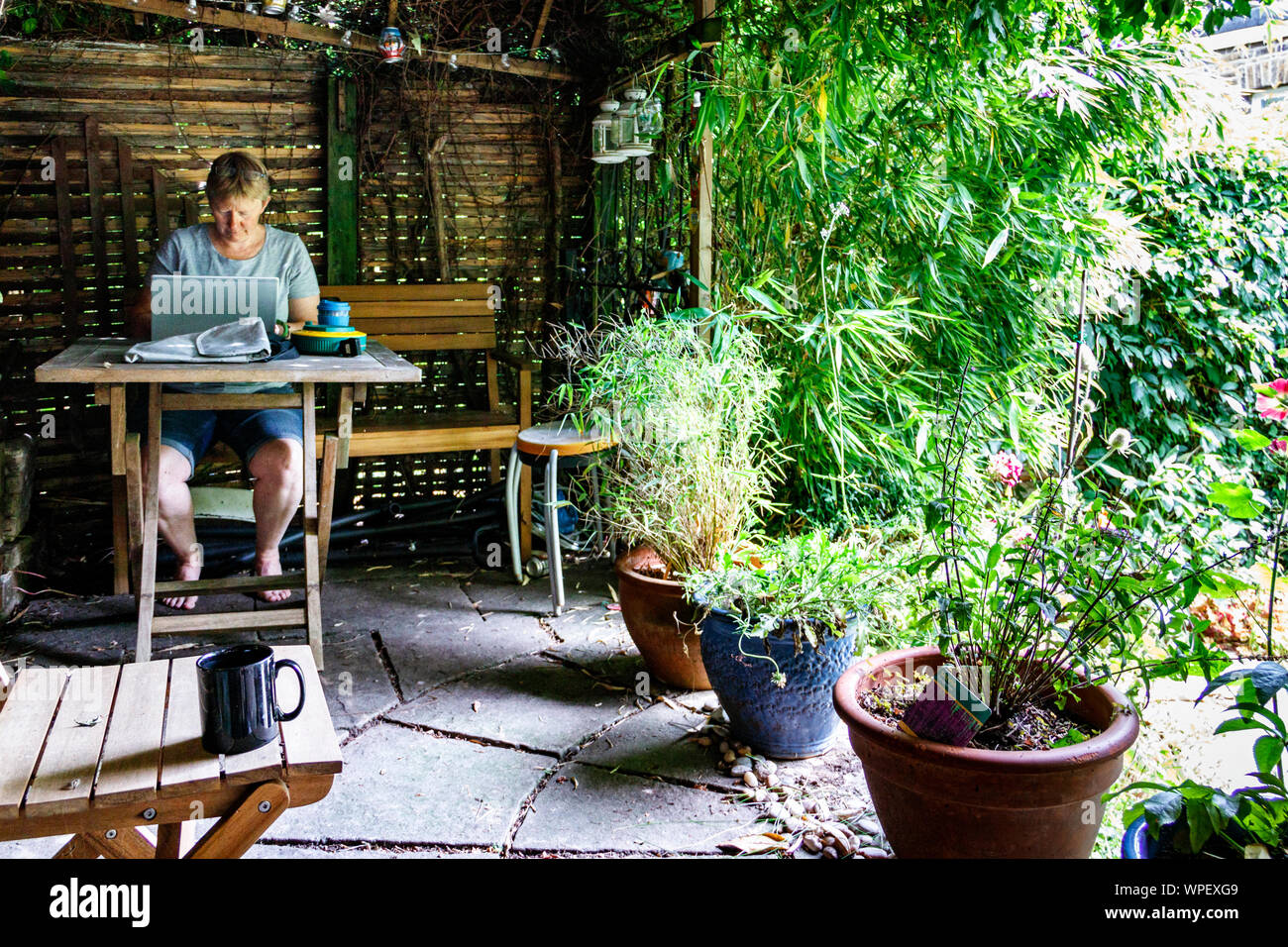 Professionelle Frau zu Hause arbeiten, profitieren von heißem Wetter unter einem Garten pergola zu sitzen, nördlich von London, Großbritannien Stockfoto