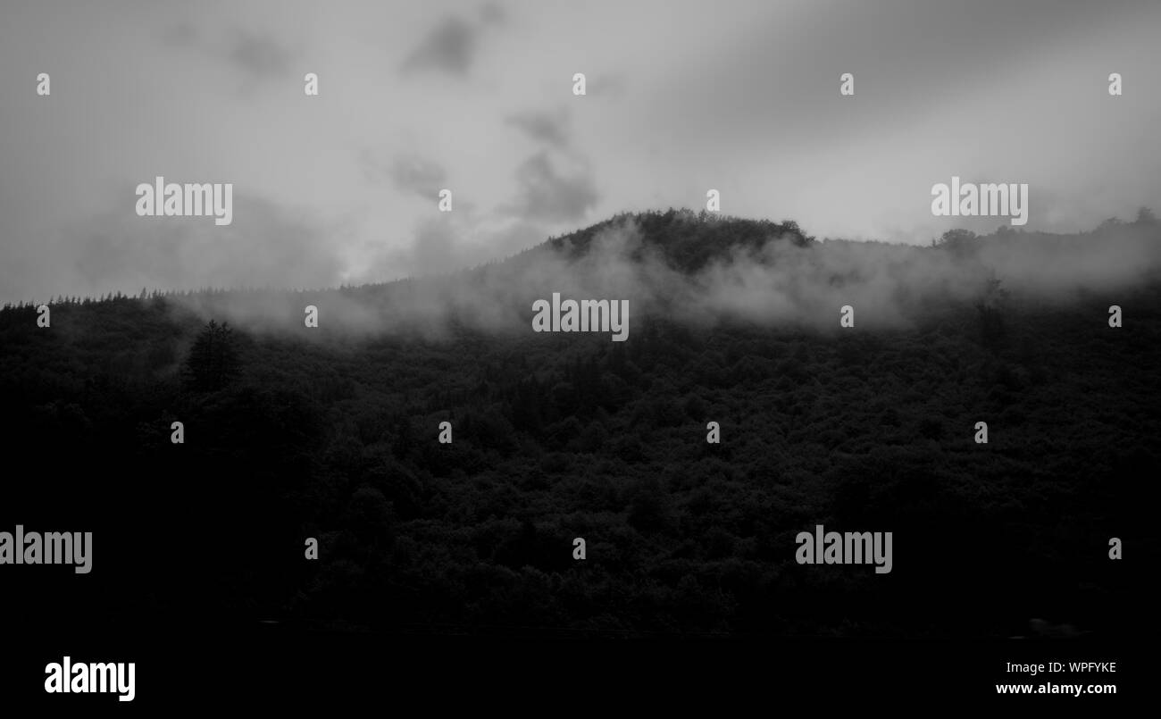 Minimale Lebensdauer Stockfoto