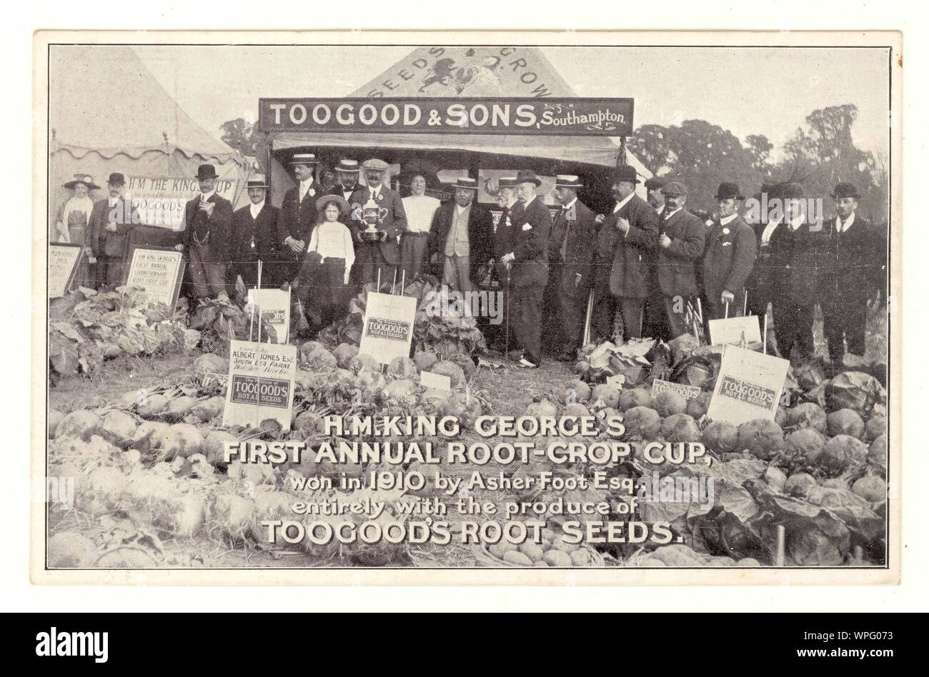 Original Anfang des 20. Jahrhunderts Toogoot & Sons, Saatgutfirma, Postkarte für Saatgutkatalog Bestellung, Darstellung von King George's Root Crop Cup, gewonnen im Jahr 1910, Karte ist ca. 1911, Großbritannien Stockfoto