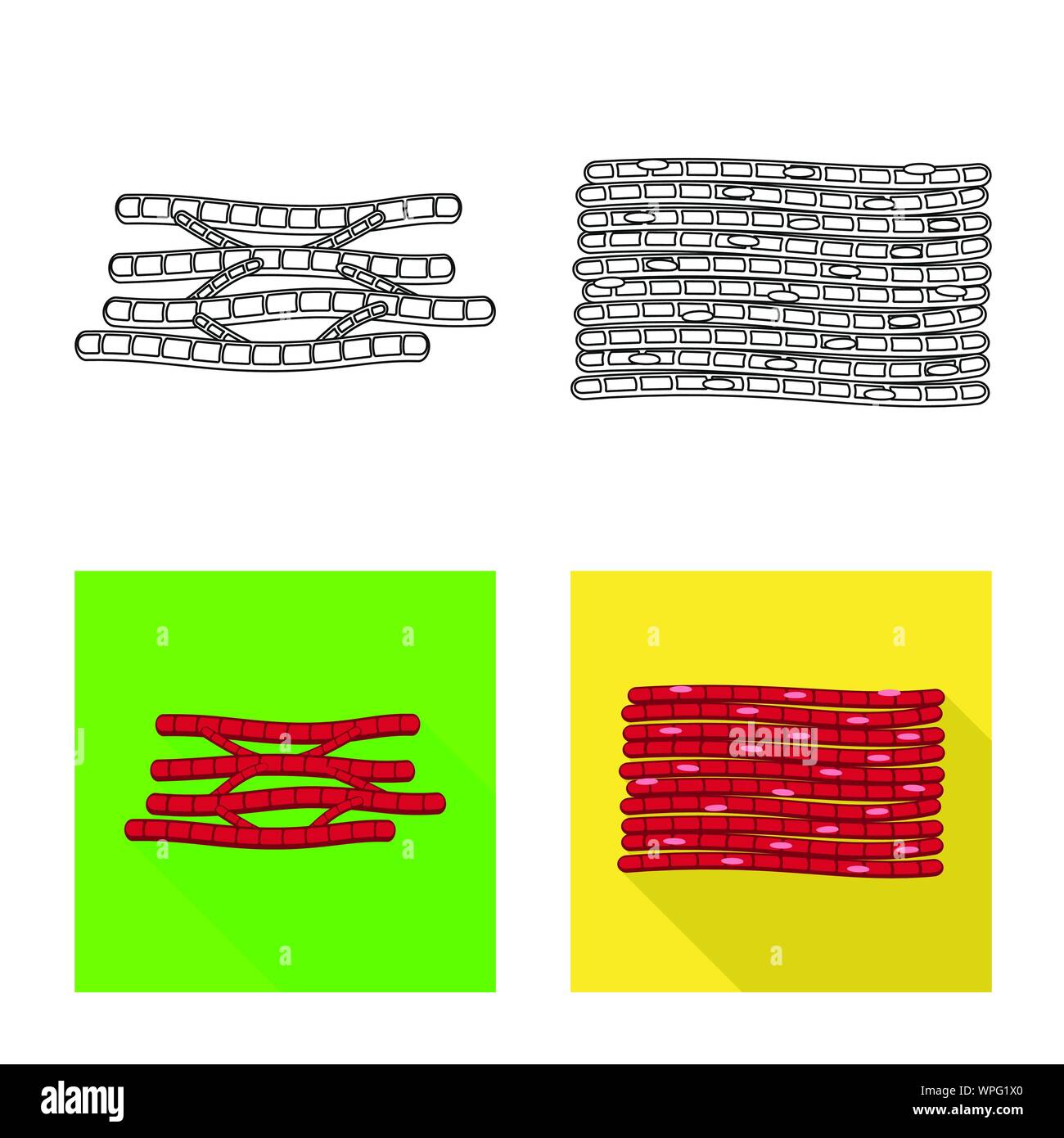 Vektor Design der Faser und muskulös Logo. Satz von Faser- und Körper Symbol für das Web. Stock Vektor