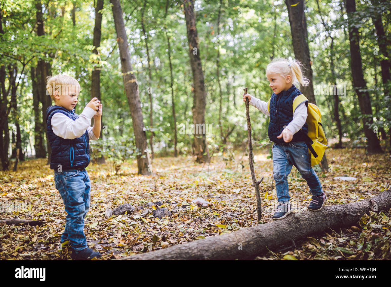 Kinder im Vorschulalter kaukasischen Bruder und Schwester Bilder von einander auf Handy Kamera in Forest Park Herbst. Thema der Hobby- und Aktiv Stockfoto