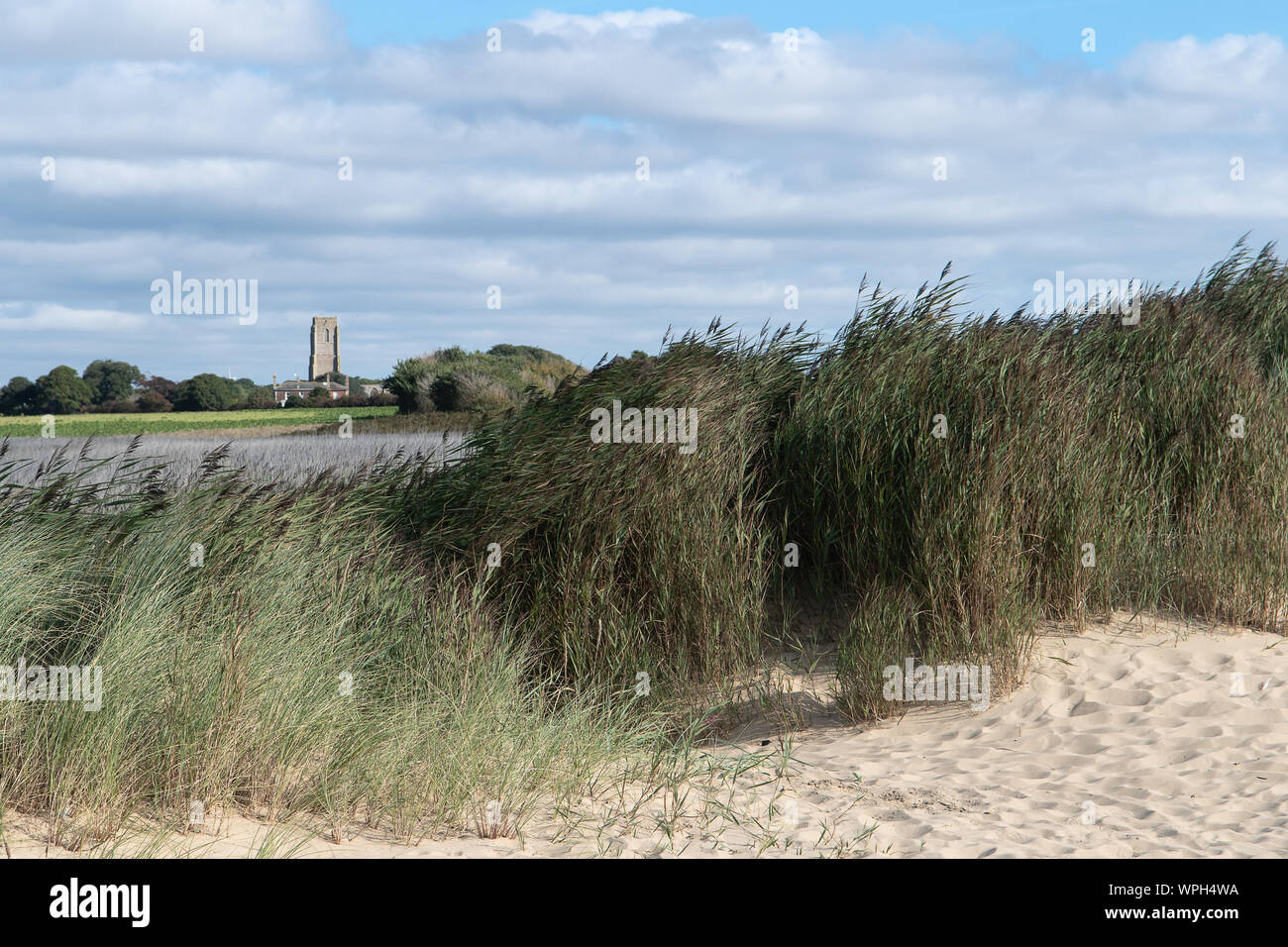 Fernsicht auf das Covehithe Abtei aus dem benacre Strand Stockfoto