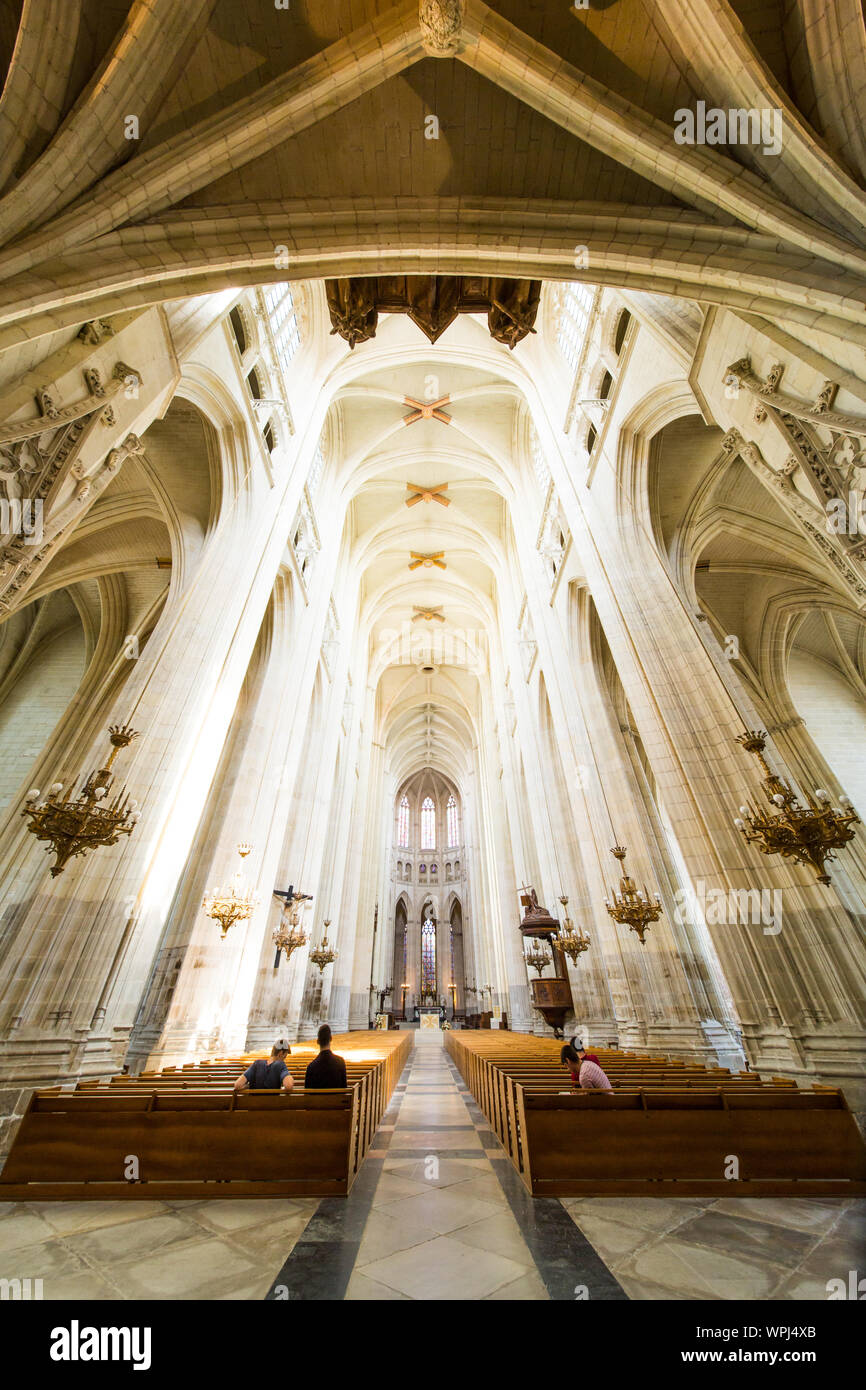 Kathedrale von Nantes Saint-Pierre-et-Saint-Paul inneren Säulen und Statuen Stockfoto