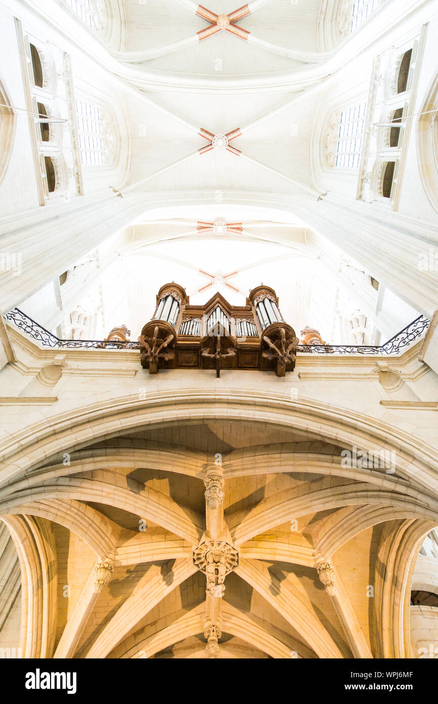 Kathedrale von Nantes Saint-Pierre-et-Saint-Paul Orgel und hohe Decken und Säulen Stockfoto