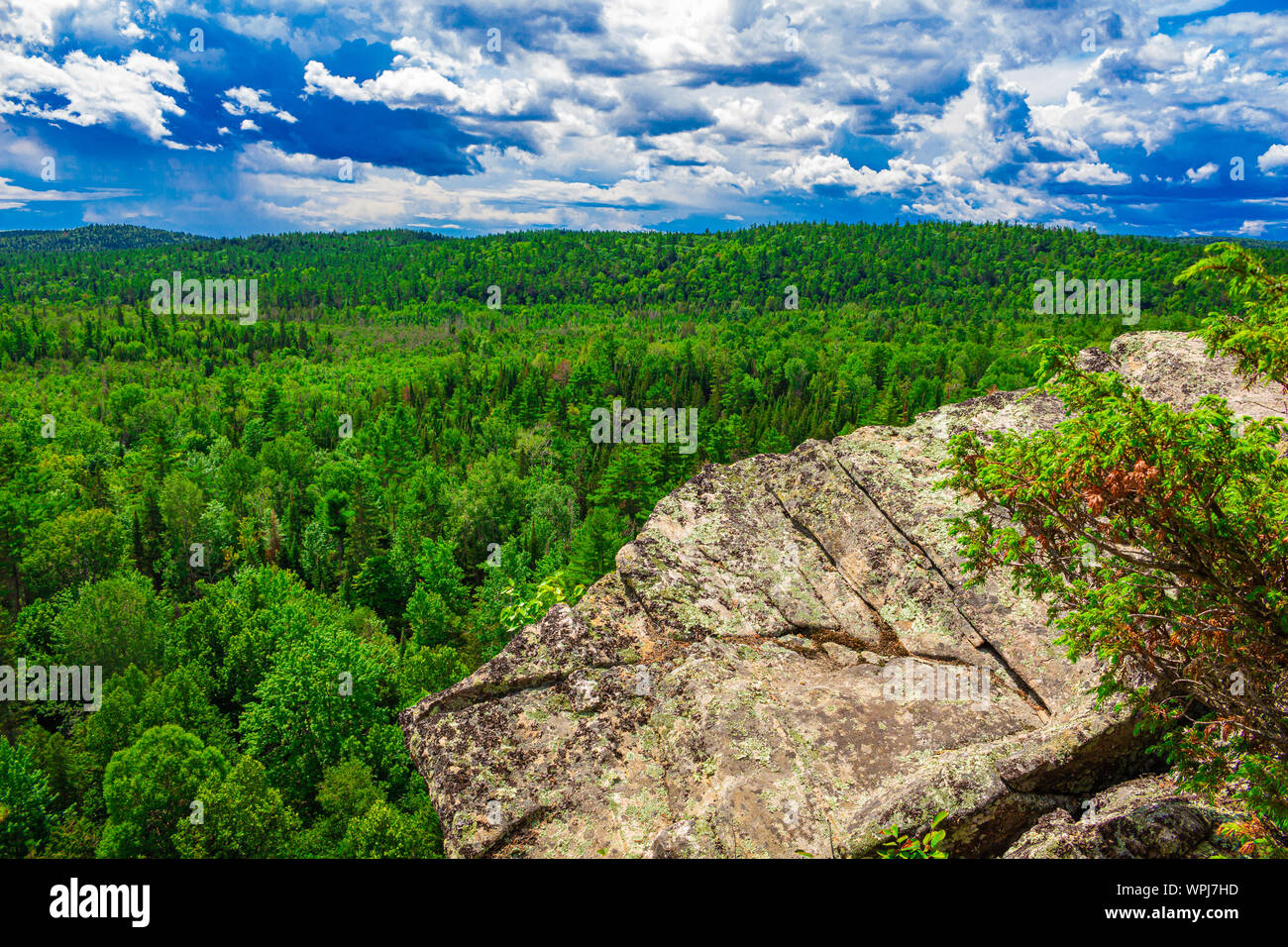 Der Blick über den Rand einer Klippe zeigt eine reiche Mischwald mit vielen immergrünen Bäumen/ Stockfoto