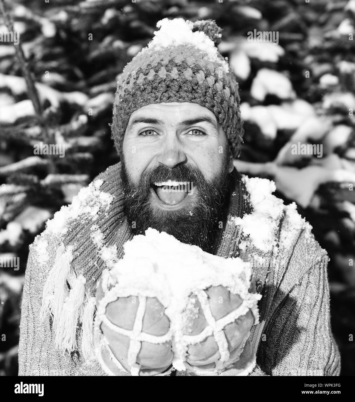 Macho mit Bart und Schnurrbart hält Schnee in seinen Händen. Mann trägt  Mütze, Schal und Handschuhe, hautnah. Happy winter Urlaub Konzept. Kerl mit  glücklich mit firtrees mit Schnee im Hintergrund Stockfotografie -