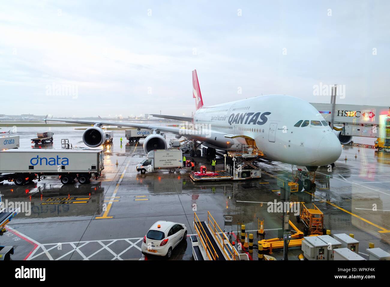 Eine QANTAS Airbus A380 Super jumbo Entladen auf seinem Stand am Heathrow Airport London England Großbritannien Stockfoto
