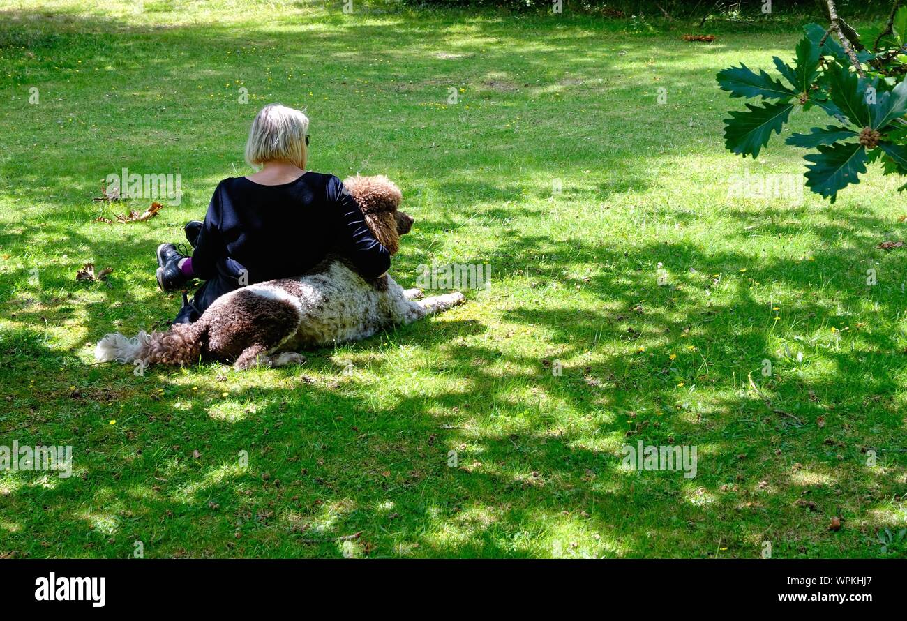 Eine Ansicht der Rückseite einer älteren Dame gegen ihren Hund in einem Park an einem Sommertag sitzt, Surrey, England, Großbritannien Stockfoto