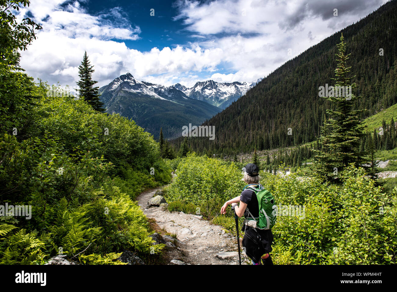 Frau Wandern auf dem großen Gletscher Trail, im Glacier National Park, British Columbia. Stockfoto