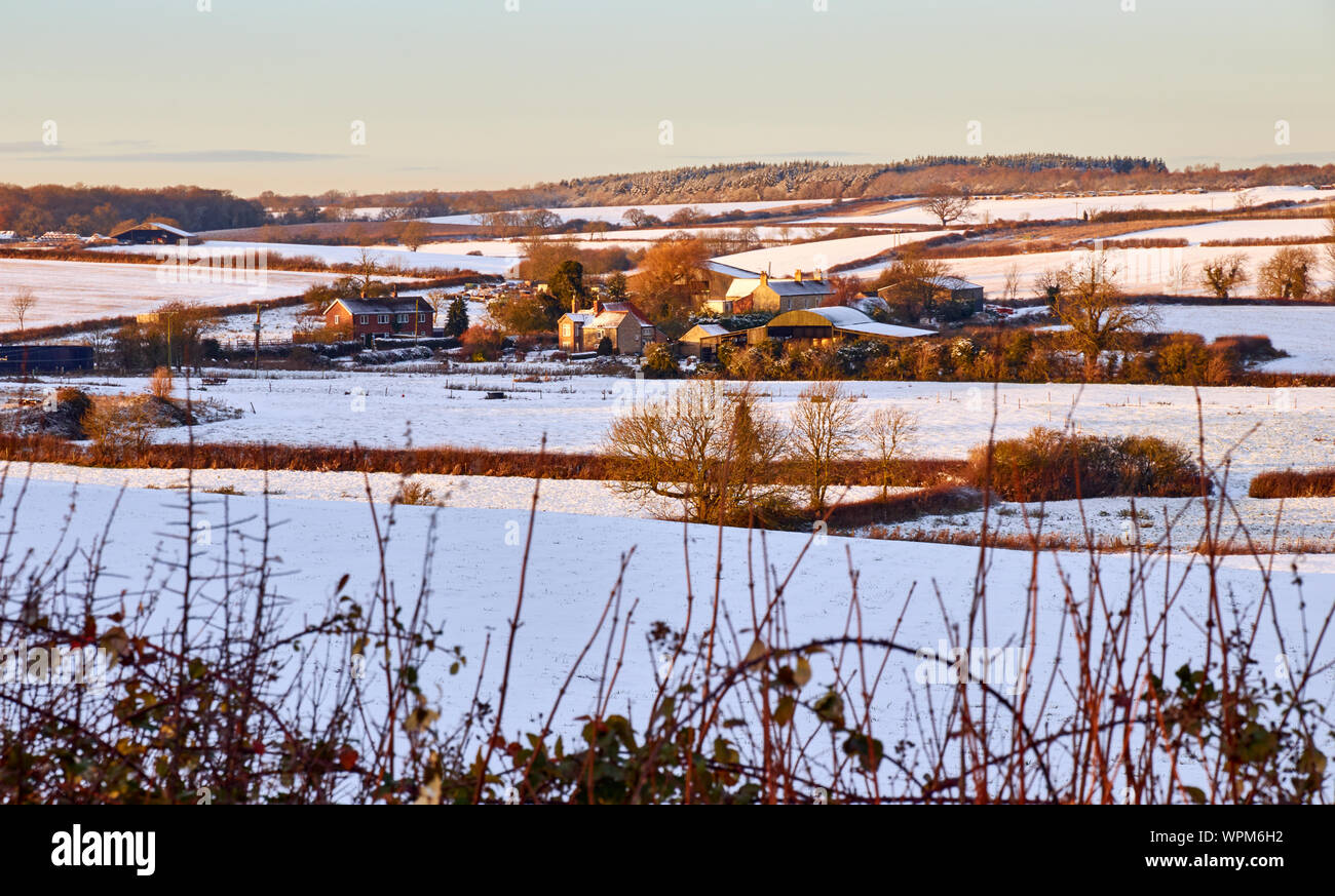 Schnee bedeckt die Landschaft Landschaft und landwirtschaftlichen Gebäuden in der Nähe von Bassingthorpe, Lincolnshire, England. Winter scene Stockfoto