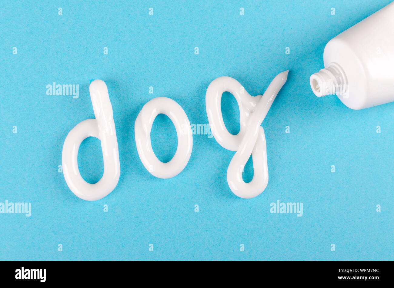 Zahnpasta für Hunde, Tier Zähne Pflegekonzept, auf blauem Hintergrund Stockfoto