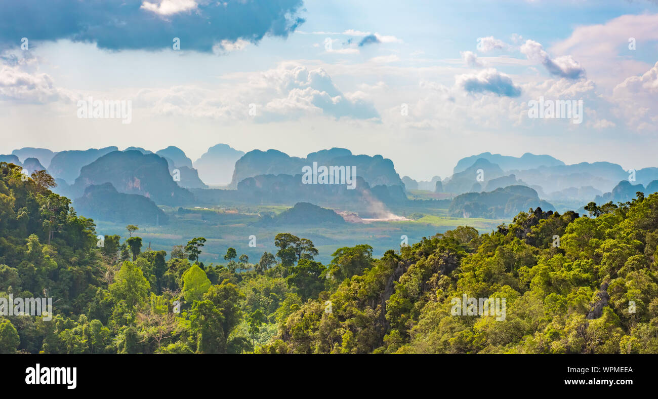 Malerische Aussicht Wald in Krabi, Thailand zu Regen Stockfoto