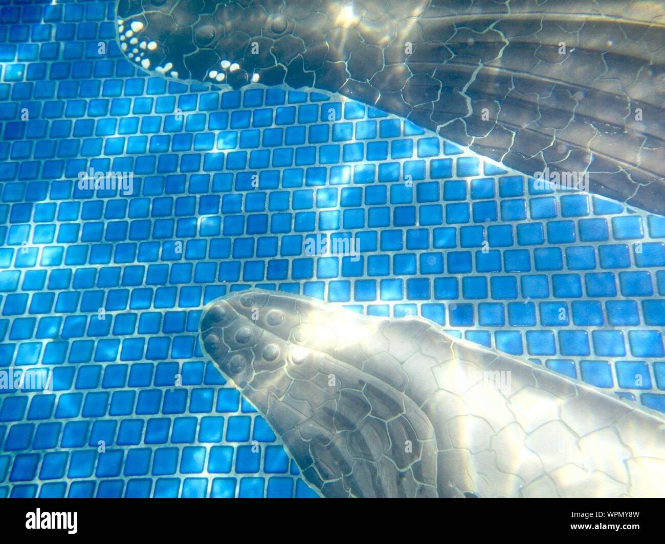 Wal Muster Auf Fliesenboden Im Schwimmbad Stockfotografie Alamy