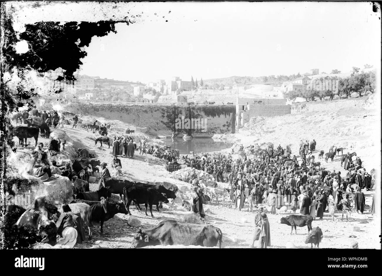 Negativ: Nitrat/4×5" (10,1 x 12,7 cm); Stockfoto Negativ: Nitrat/4×5" (10,1 x 12,7 cm); Stockfoto