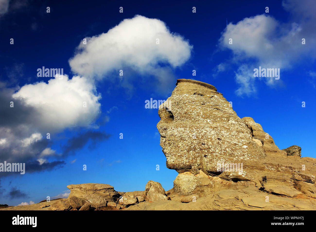 Sphinx von Felsformationen auf Bucegi Naturpark Stockfoto