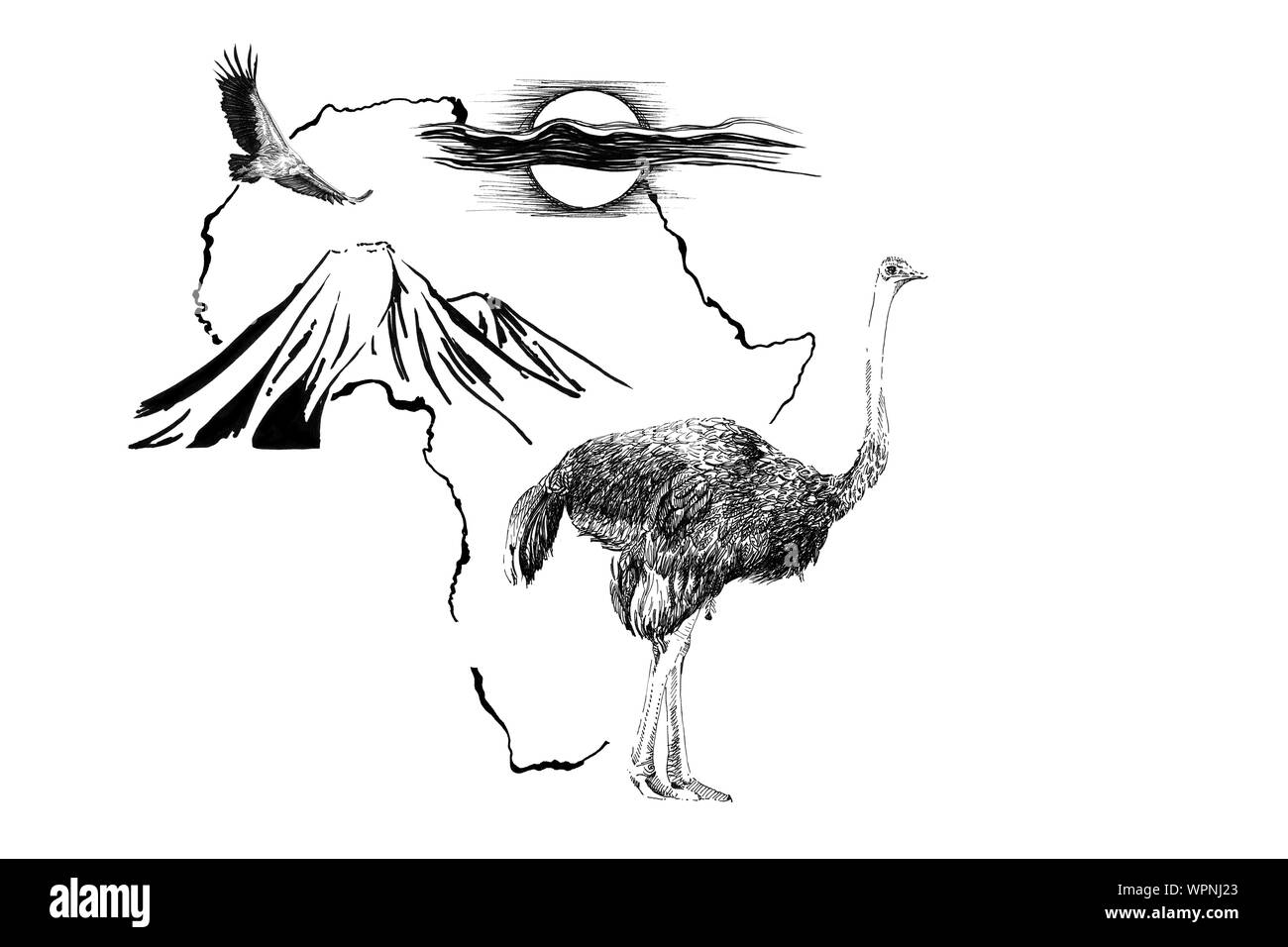 Strauß auf Afrika Karte Hintergrund mit Kilimanjaro Mountain, Geier und Sonne. Sammlung von Hand Illustrationen gezeichnet (Originale, keine tastung) Stockfoto