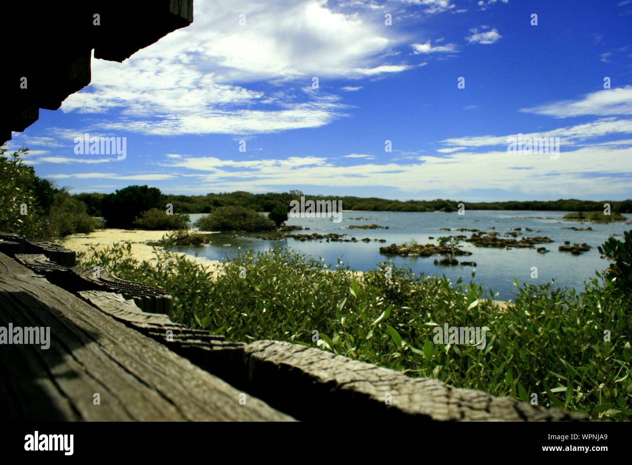 Cape Range National Park, Exmouth, Coral Bay, Western Australia Stockfoto