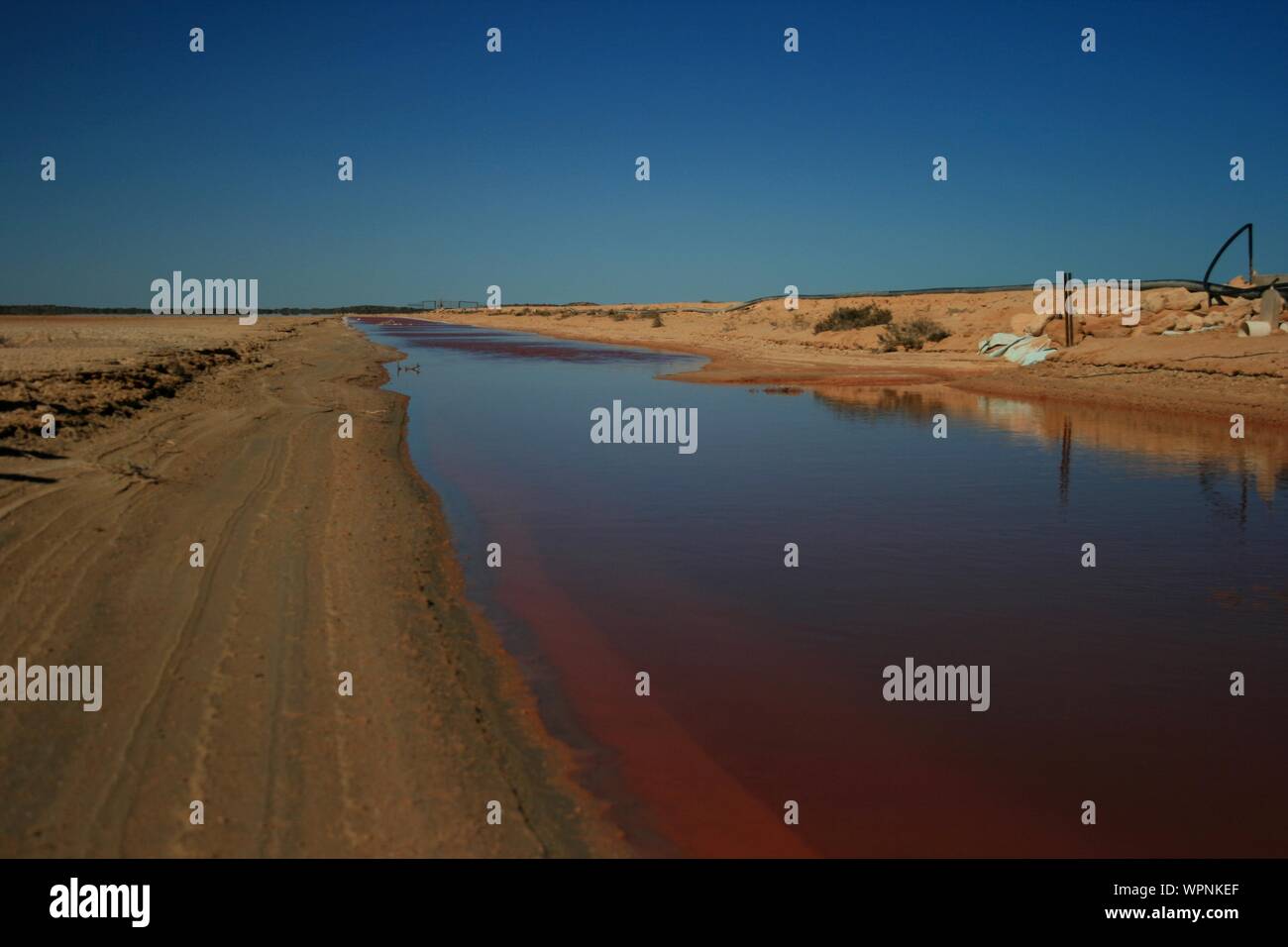 Hutt Lagoon, Rosa See, Gregory, Kalbarri, Westküste, Western Australia Stockfoto