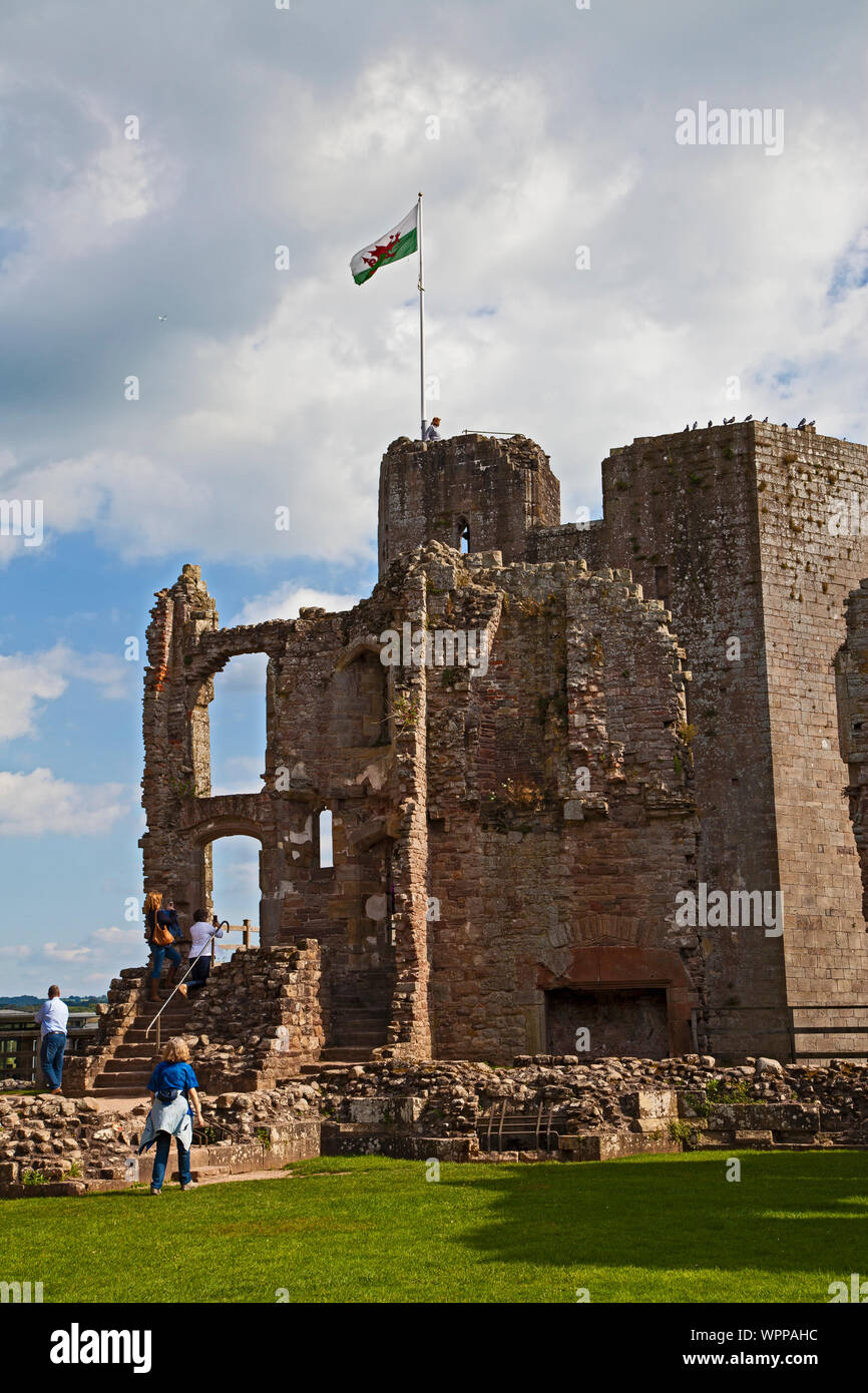 Raglan Castle, Monmouthshire, Wales, UK Stockfoto