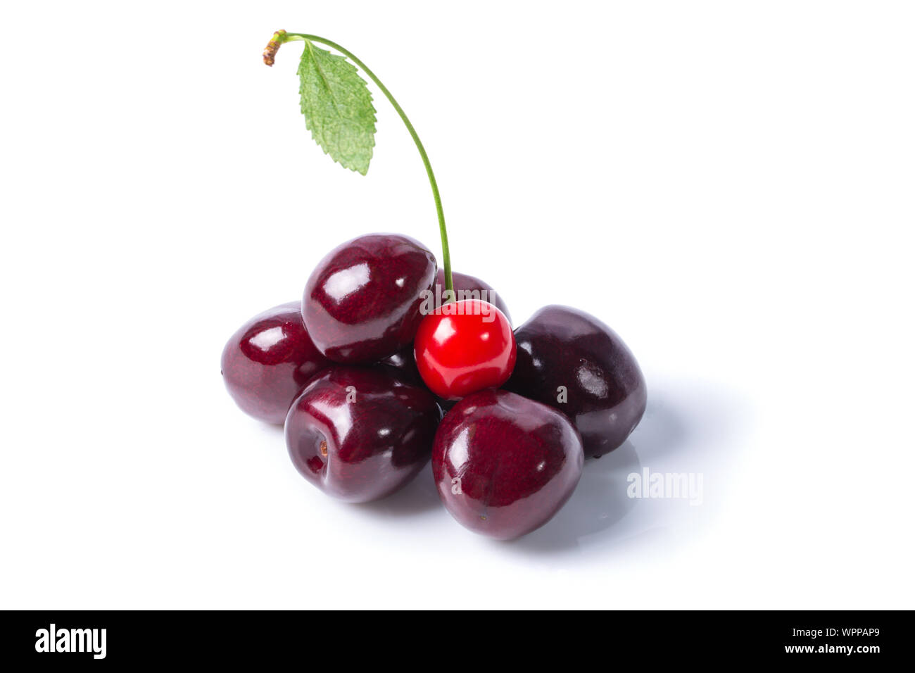 Süßkirschen und eine rote Kirsche auf weißem Hintergrund Reif Stockfoto