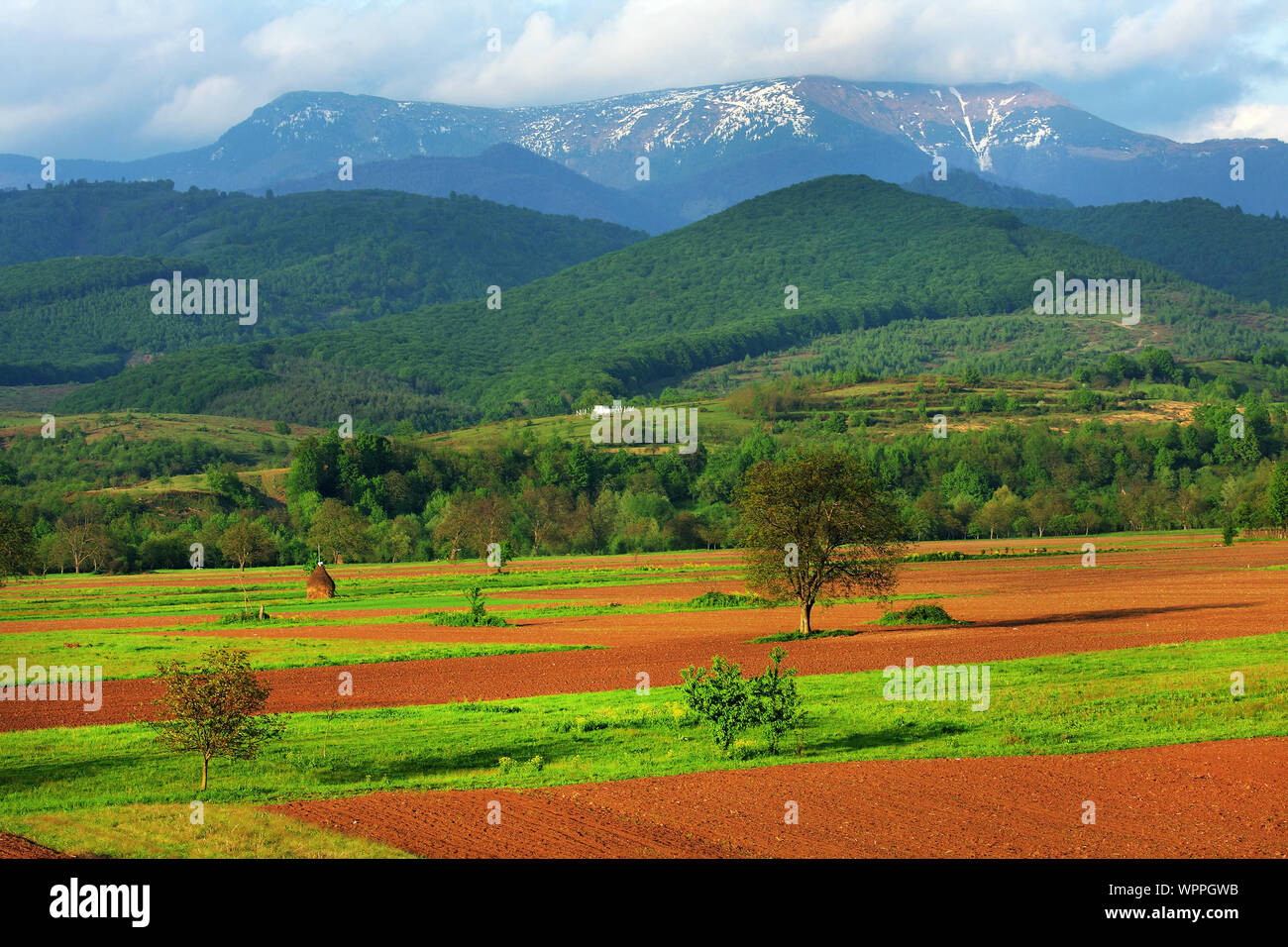 Malerischer Blick auf Farmen von grünen Bergen Stockfoto