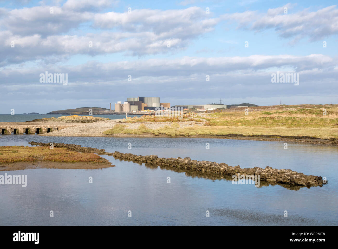 Cemlyn North Wales Wildlife Trust finden und Wylfa Kernkraftwerk, Cemaes Bay, Anglesey, North Wales, UK Stockfoto