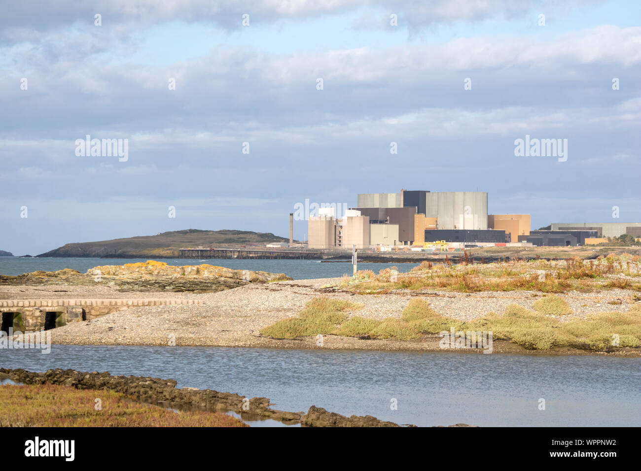 Cemlyn North Wales Wildlife Trust finden und Wylfa Kernkraftwerk, Cemaes Bay, Anglesey, North Wales, UK Stockfoto