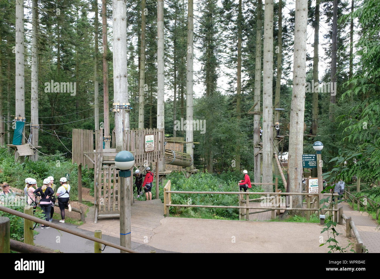 September 2019. Der Hochseilgarten im Center Parcs Longleat Forest, Großbritannien Stockfoto