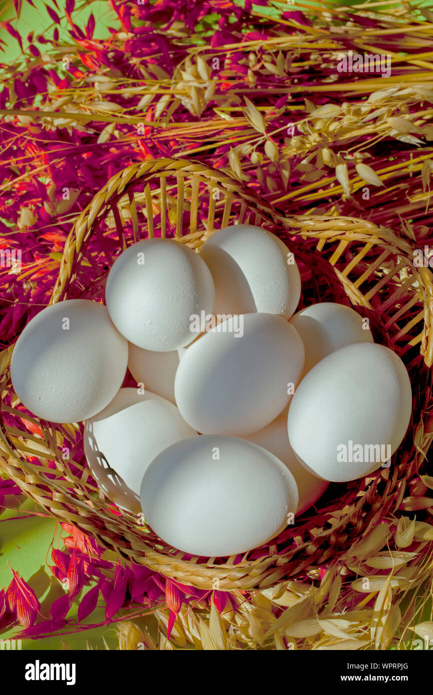 Weiße Eier in Korb senkrecht mit Kopierraum Stockfoto