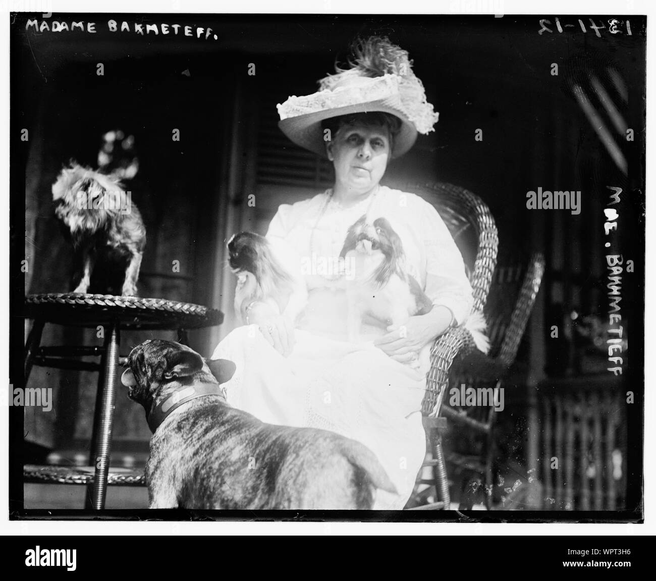 Madame Bakhmetieff Stockfoto