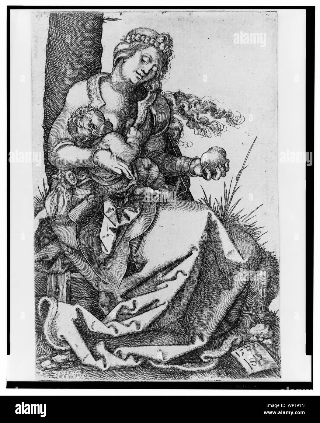 Madonna mit der Birne Stockfoto