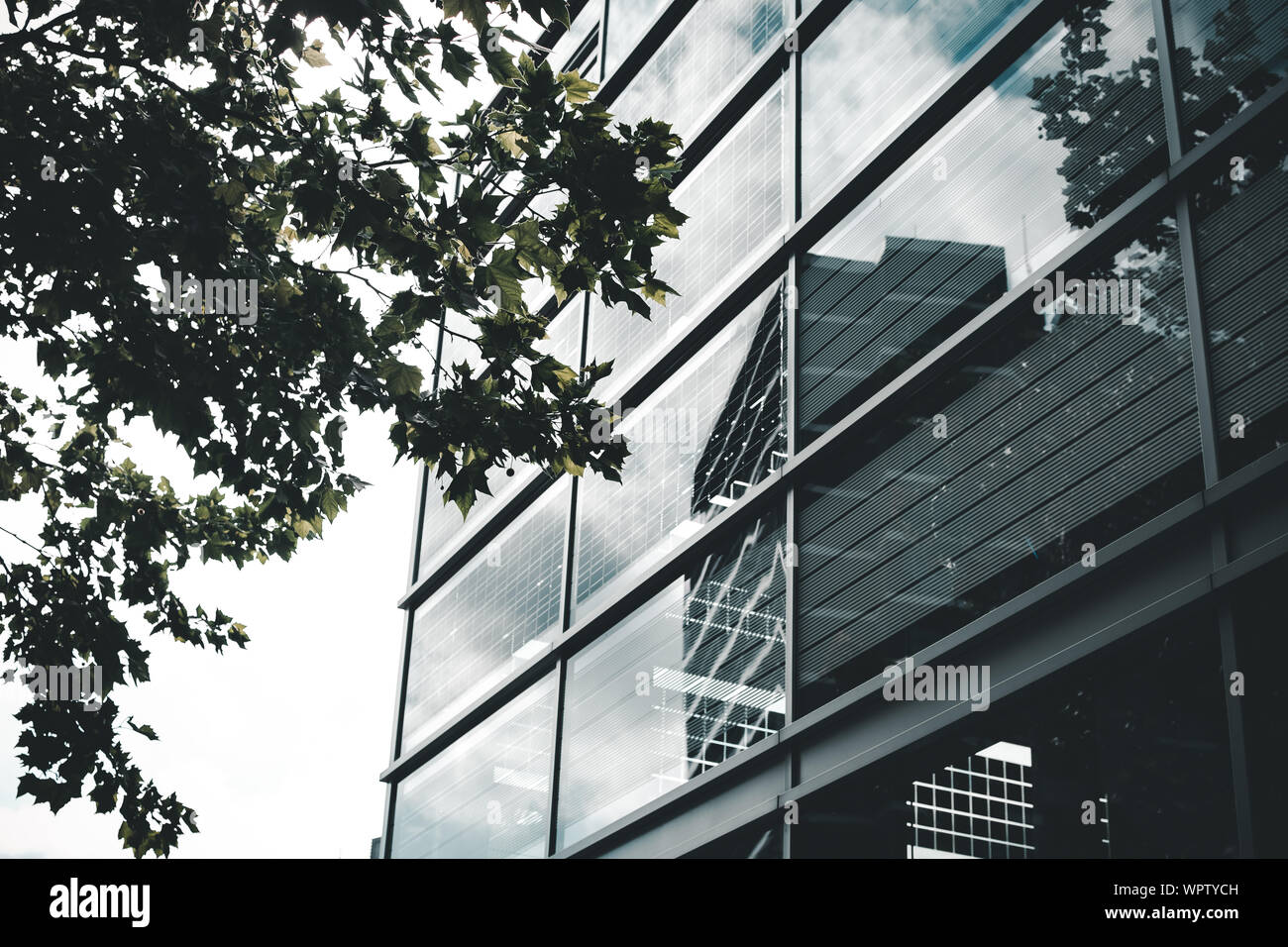 Reflexion im Gebäude Stockfoto