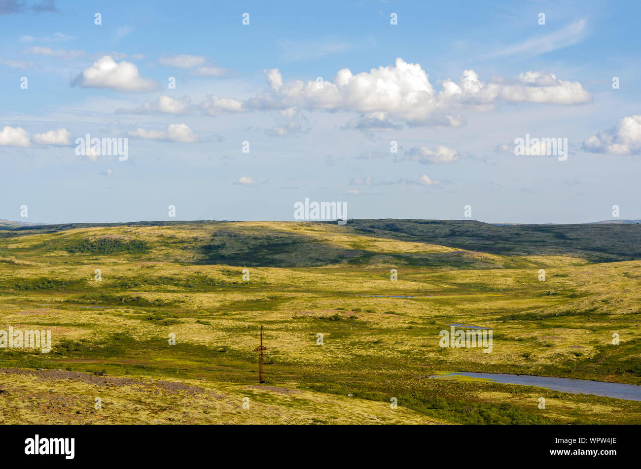 Reisen durch die Murmansker Tundra. Stockfoto