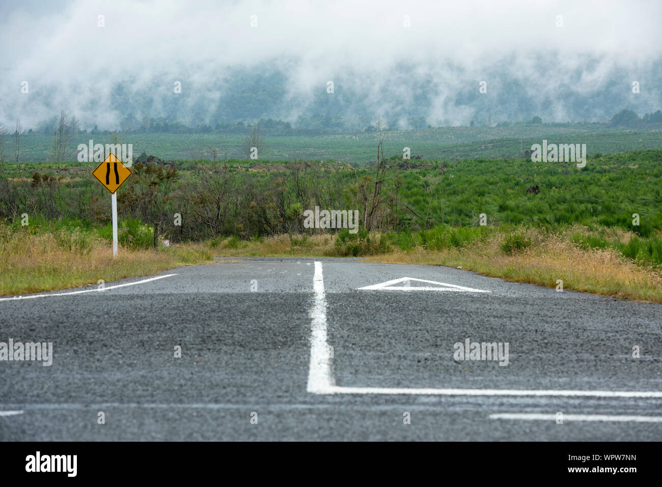 Kreuzung geben. Geo thermal Landschaft, wo Dampf ist eminating aus dem Boden. Zentrale Nordinsel von Neuseeland Stockfoto