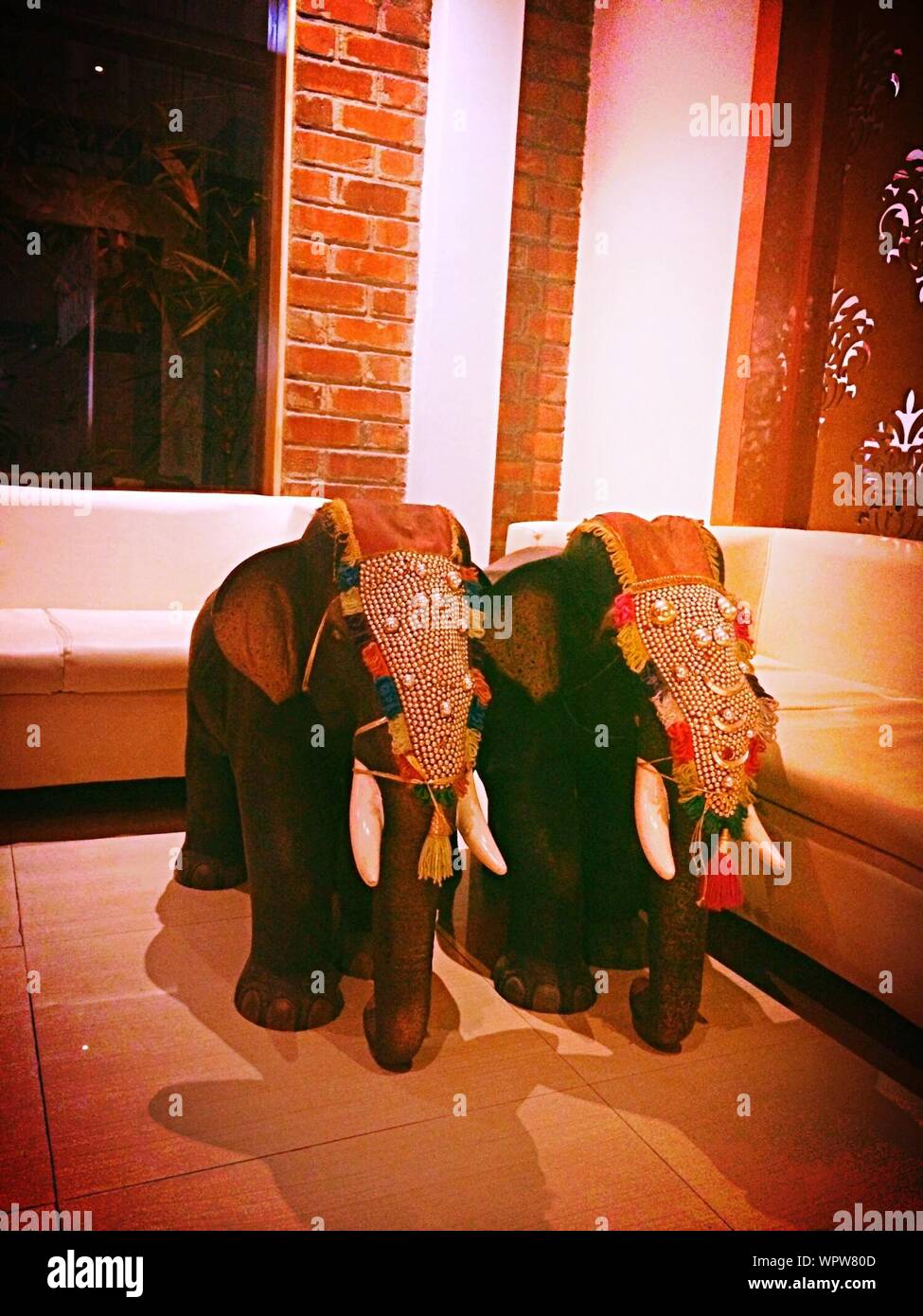 Elephant in room Fotos und Bildmaterial in hoher Auflösung Alamy