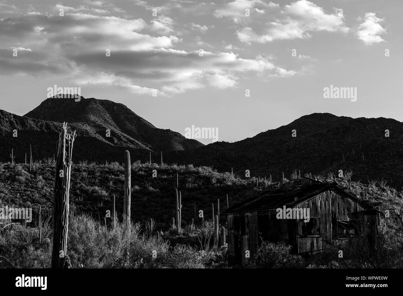 Verlassenen Blockhütte im Cactus Landschaft mit Bergen gegen Himmel in Ironwood Forest National Monument Stockfoto