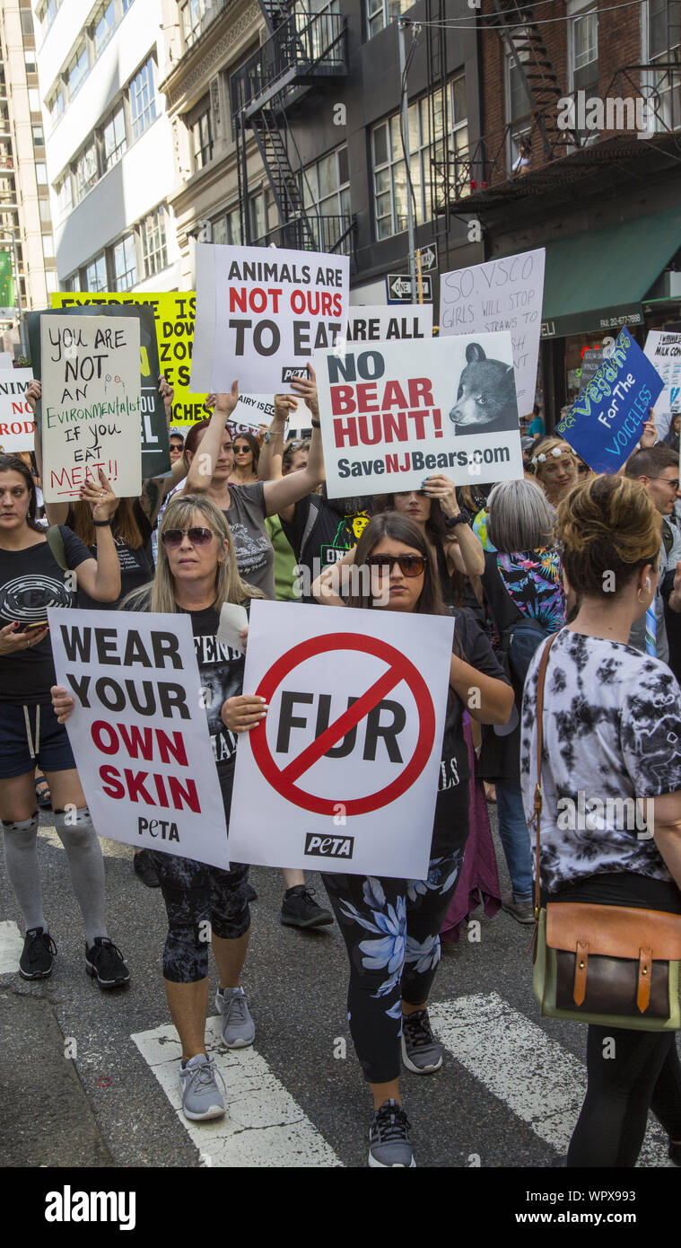 Die offizielle Tierrechte März am 24. August 2019 Broadway an der Flatiron Building gefüllt und Tompkins Square Park in New York City. Es fordert für den Schutz aller Tiere und auch "Go Vegan" für das Wohl des Planeten. Stockfoto