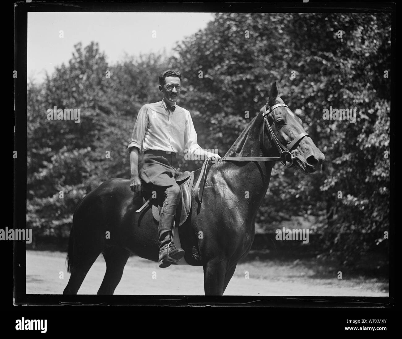 Mann auf dem Rücken der Pferde Stockfoto