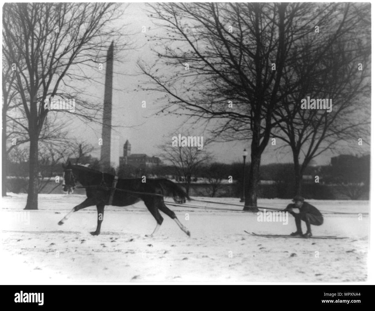 Mann auf Skiern durch Pferde gezogen wird, mit Washington Monument im Hintergrund Stockfoto